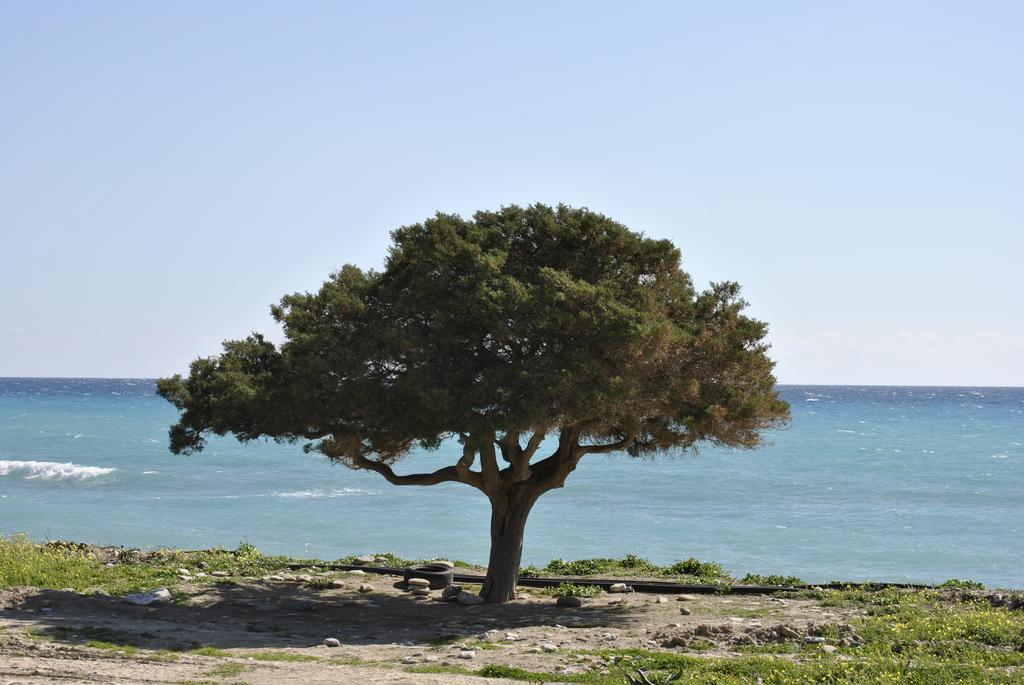 Chouzourakis דירה