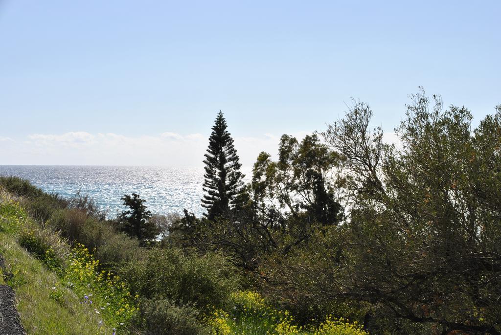 Chouzourakis