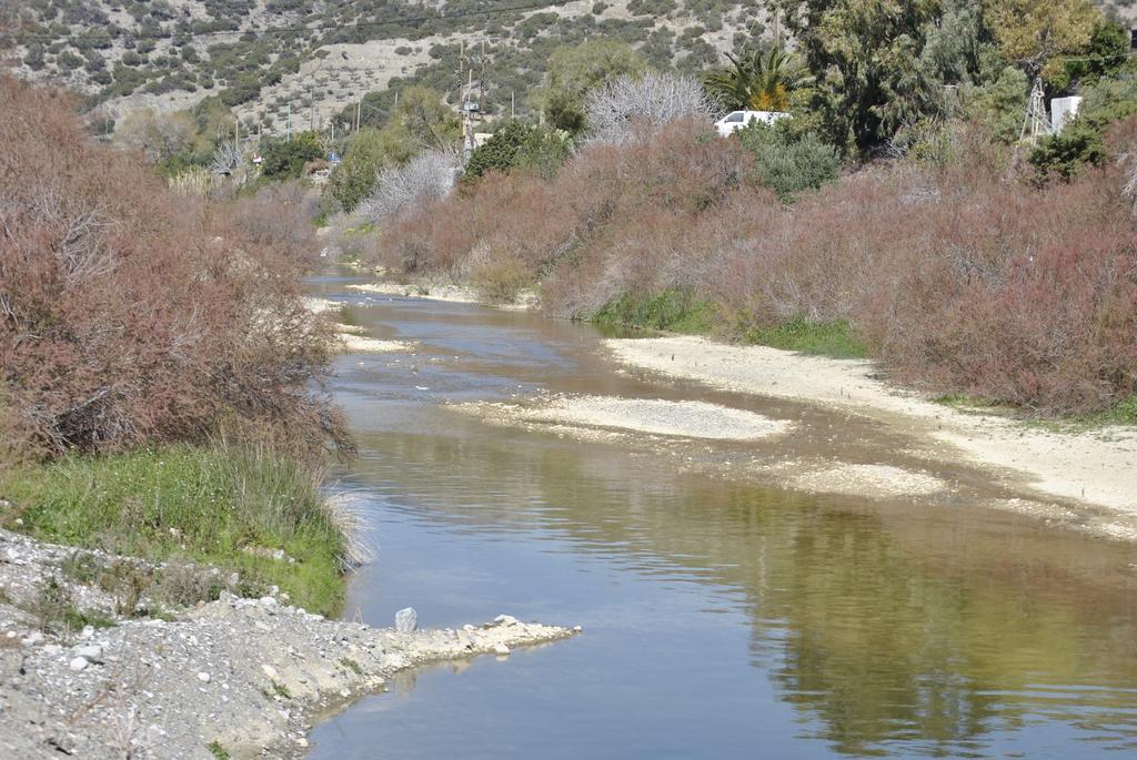Chouzourakis